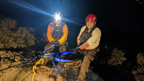 Night litter rigging