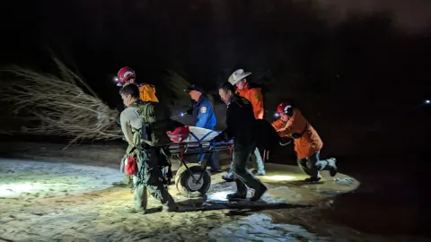 Night carry-out