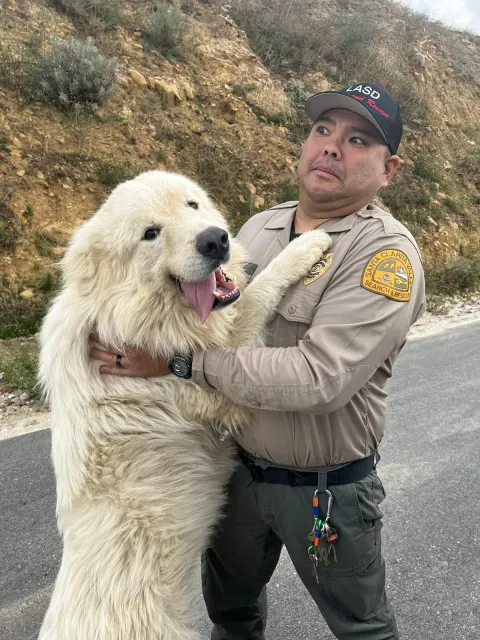 Making a new friend
